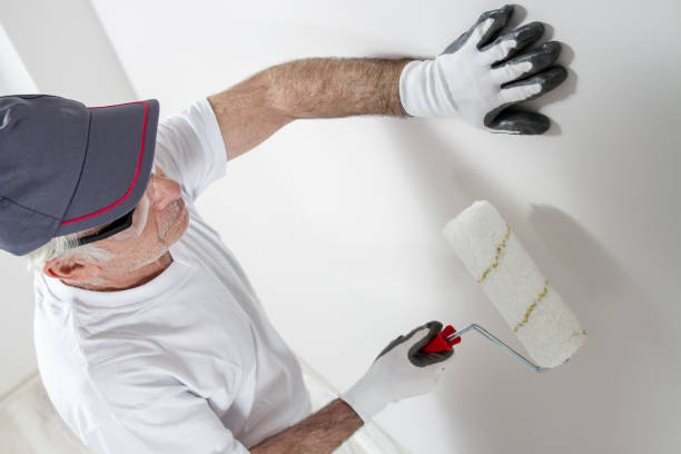 Reliable Harlowton, MT Mold Removal Solutions